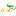 IOL Chemicals and Pharmaceuticals Limited